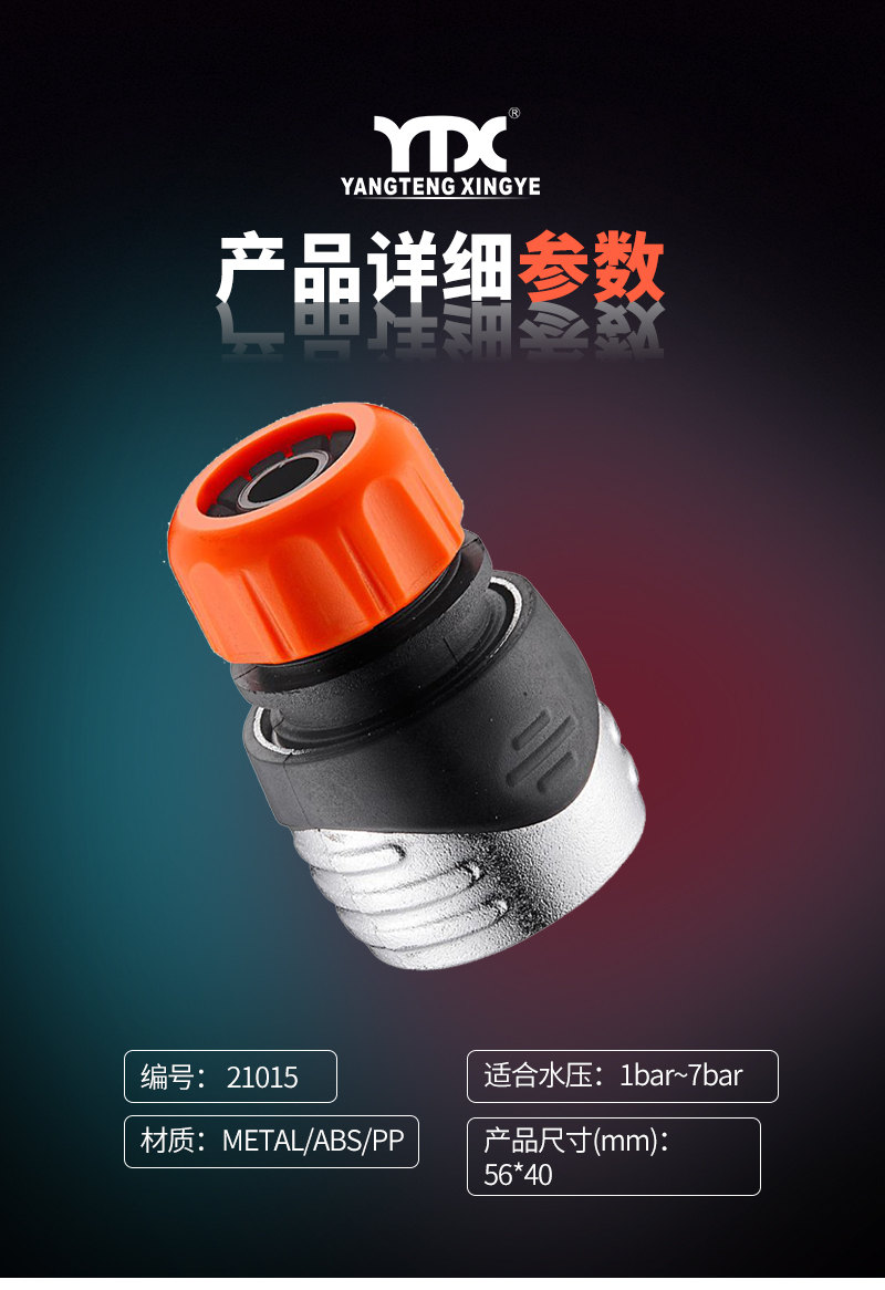 中文_05