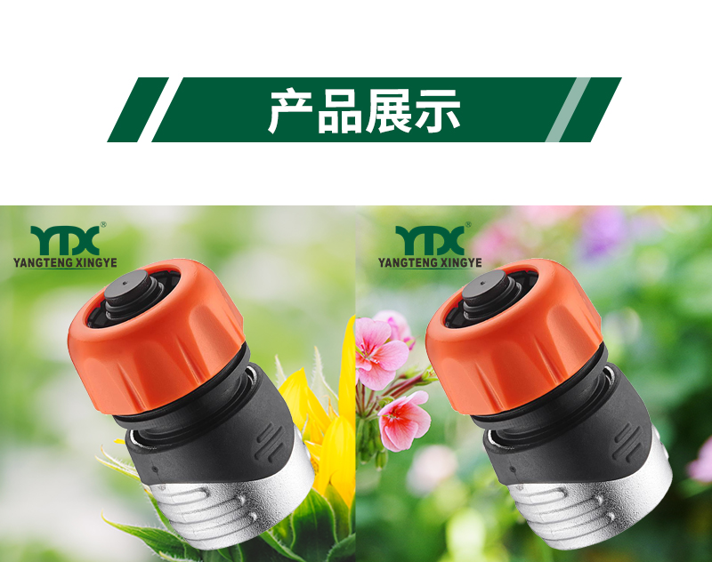 中文_06