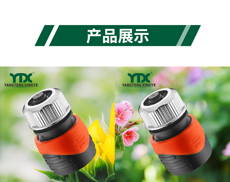 中文_06