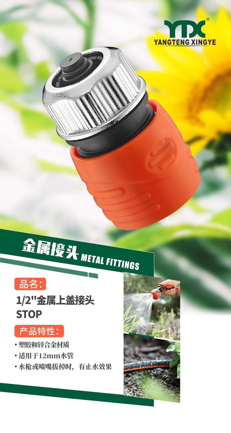 中文_01