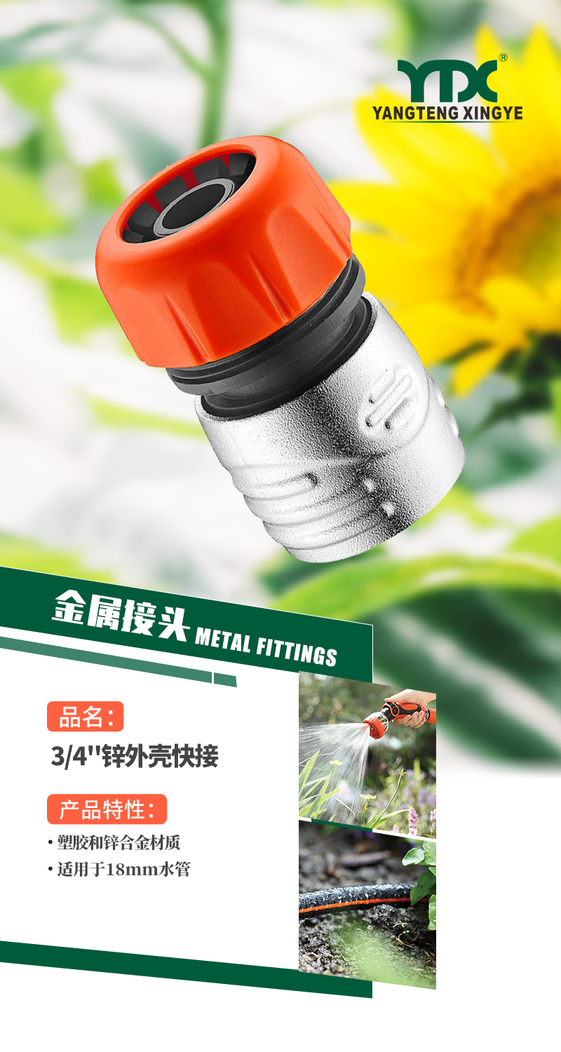 中文_01