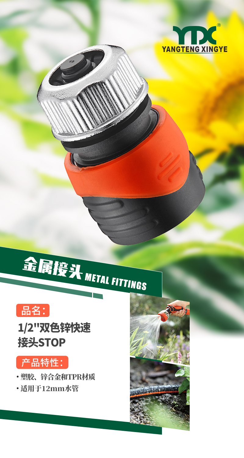中文_01