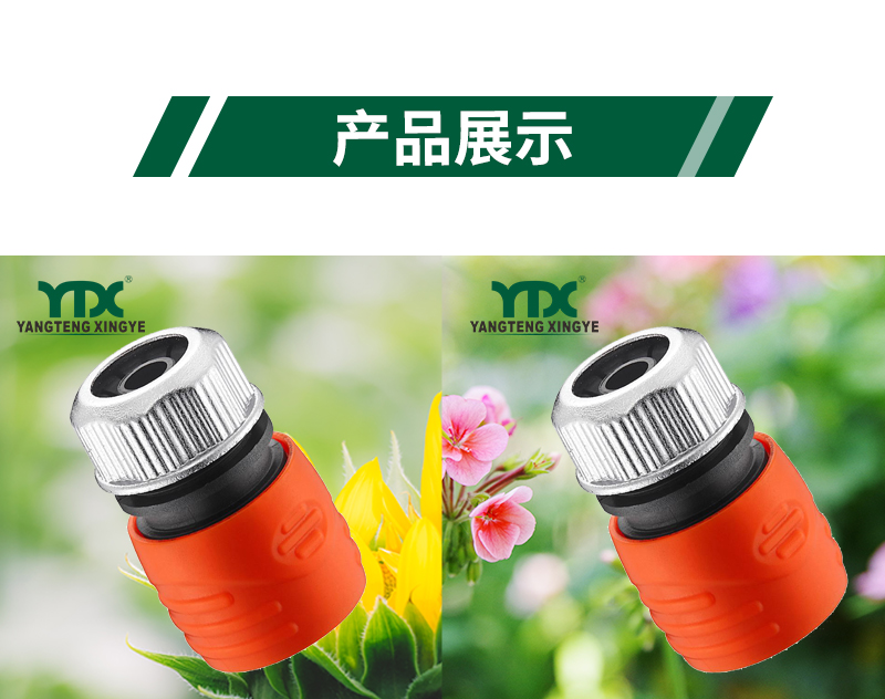 中文_06