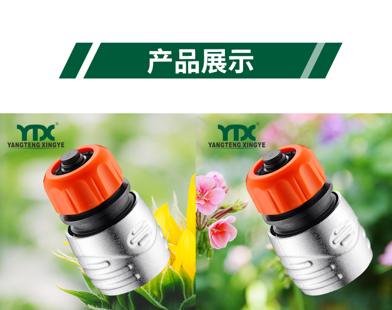 中文_06