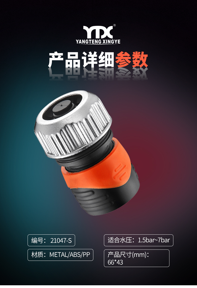 中文_05
