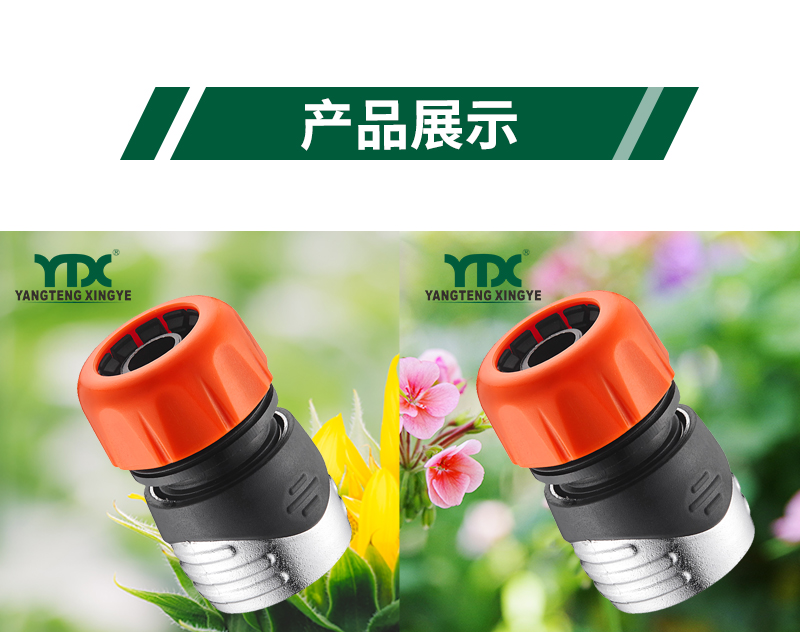 中文_06