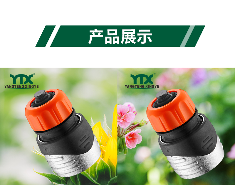 中文_06