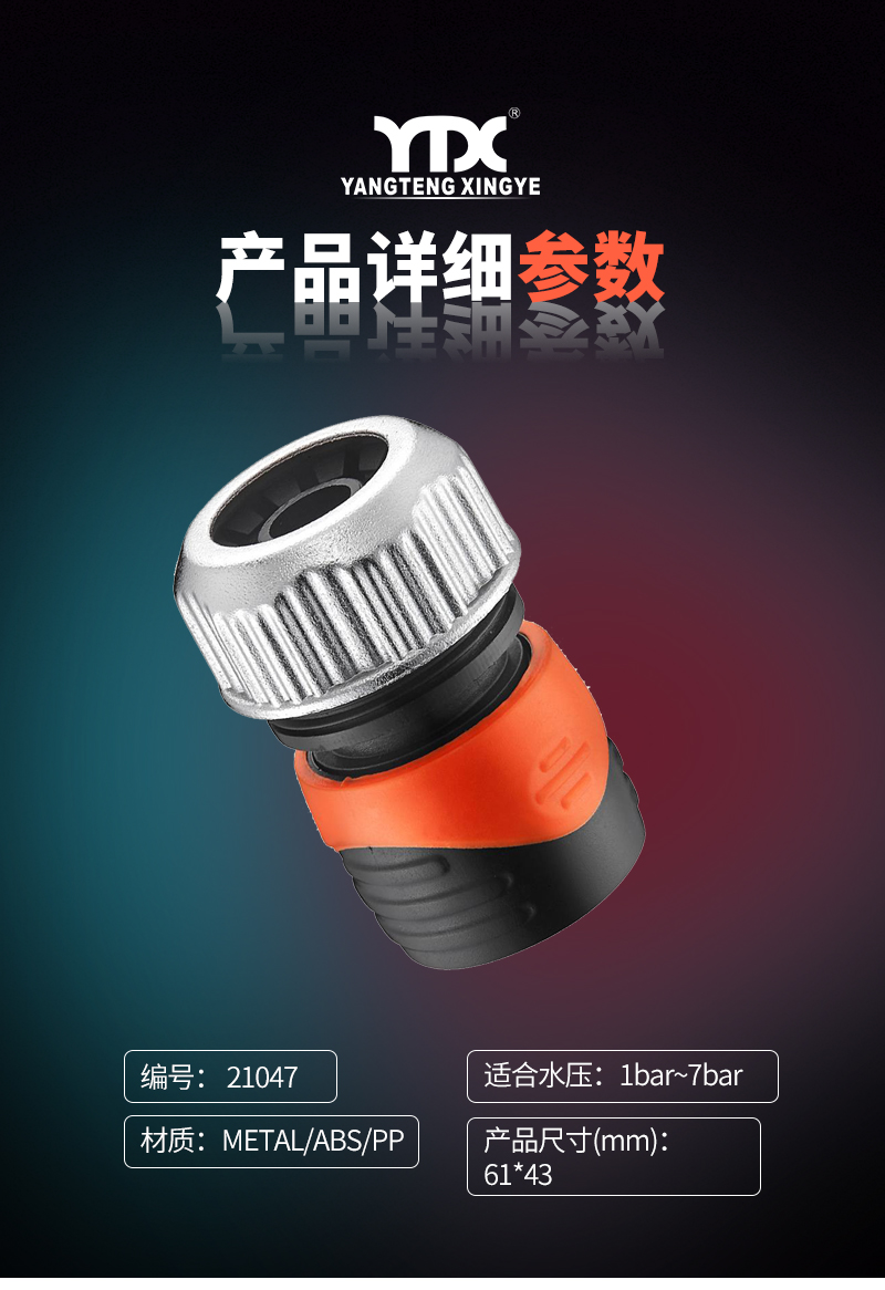 中文_05