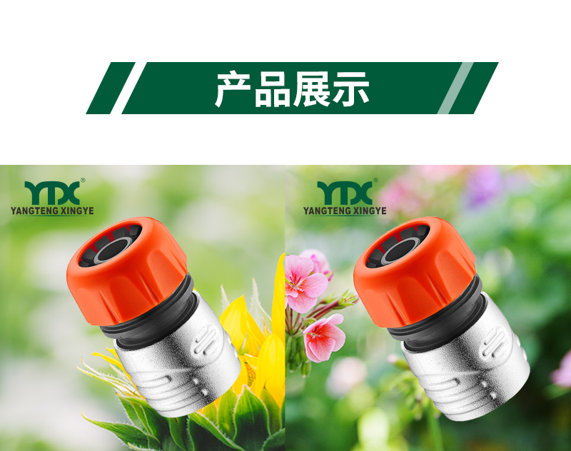 中文_06