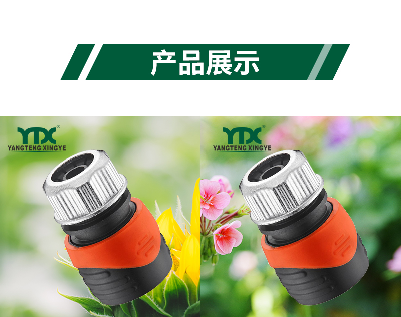 中文_06