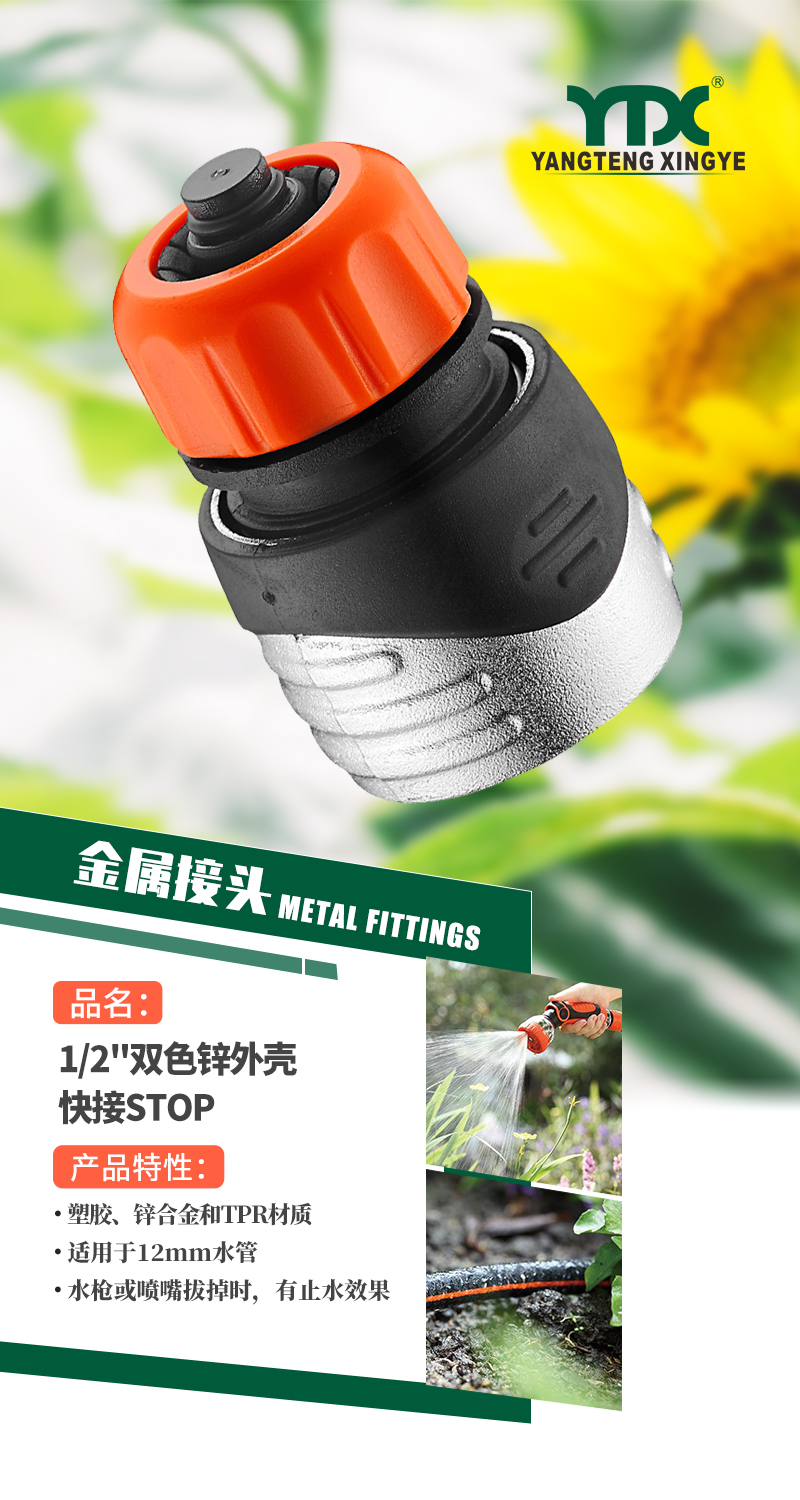 中文_01