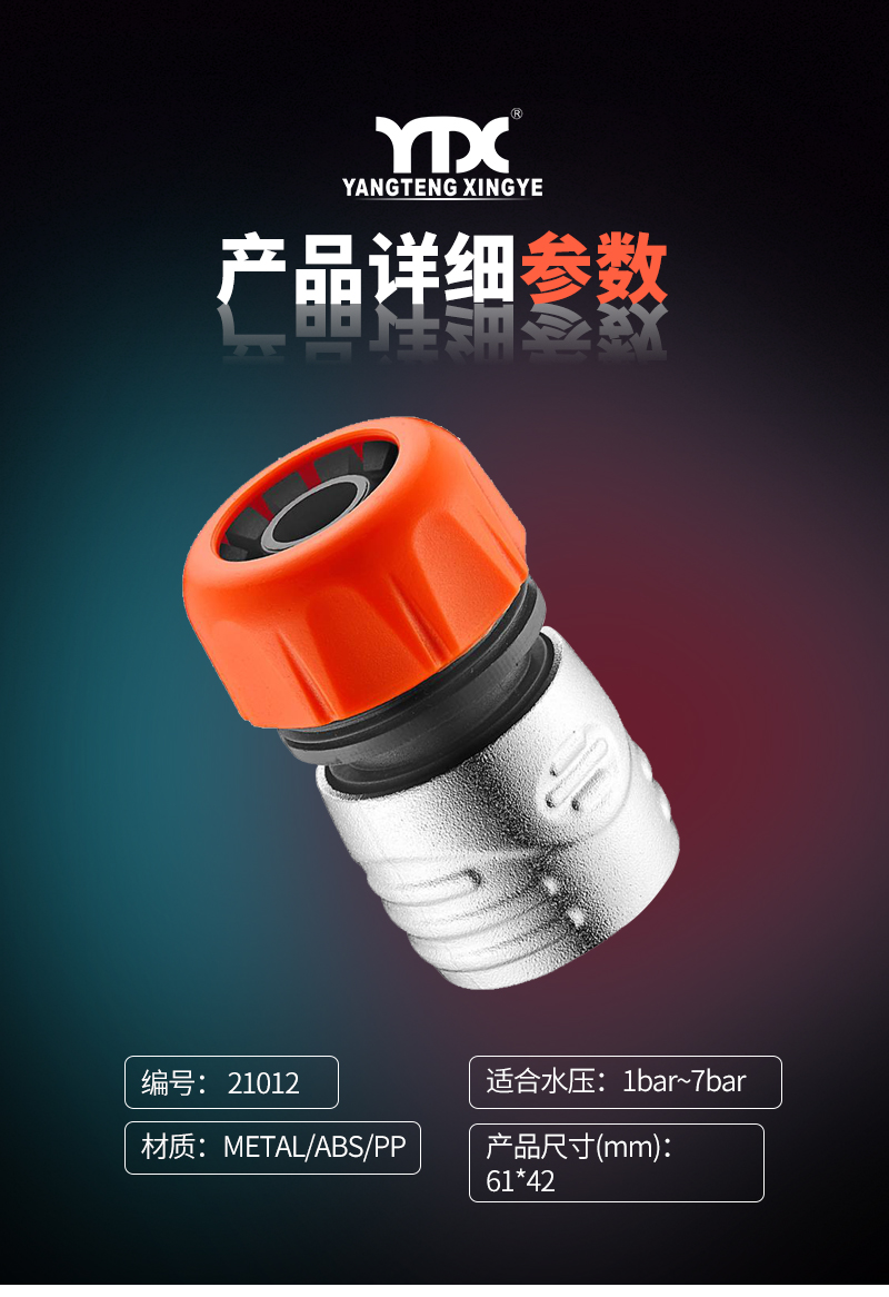 中文_05