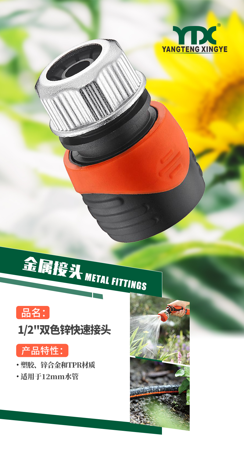 中文_01