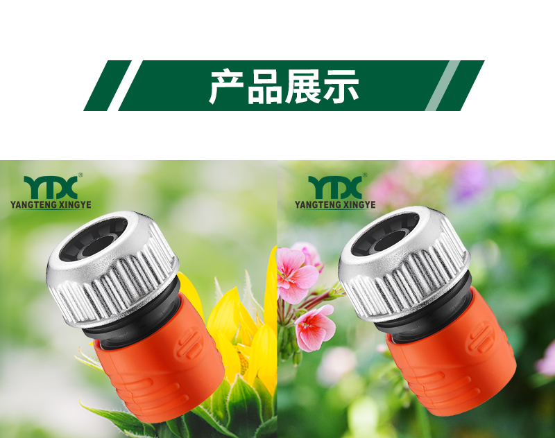 中文_06