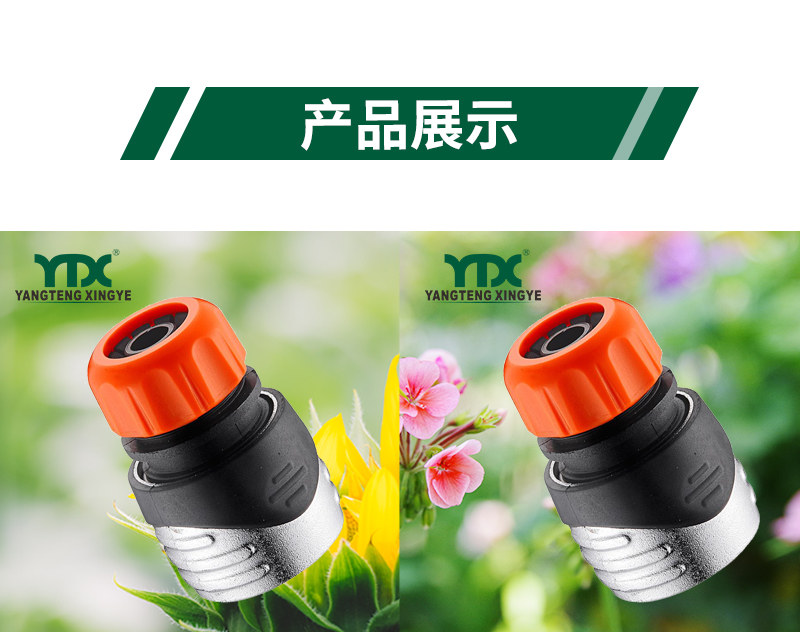 中文_06