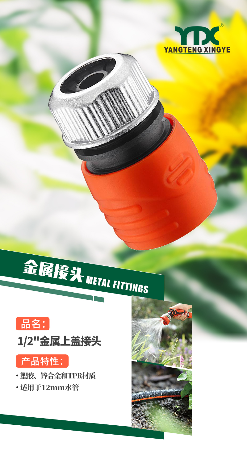 中文_01