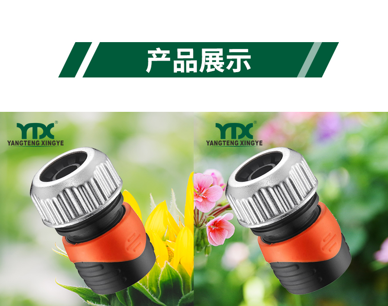 中文_06