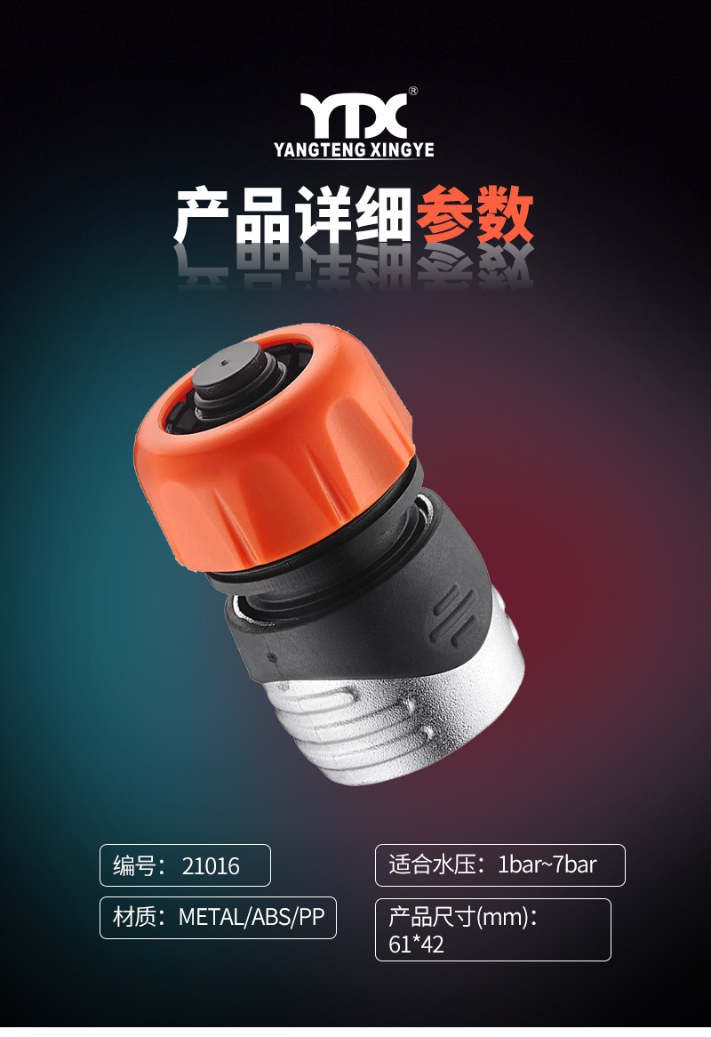 中文_05