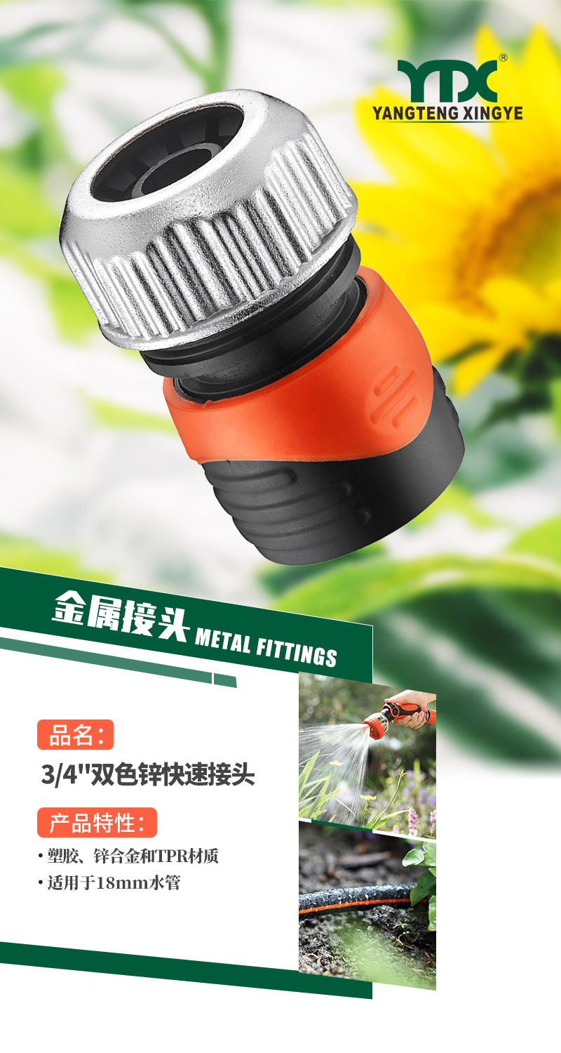中文_01
