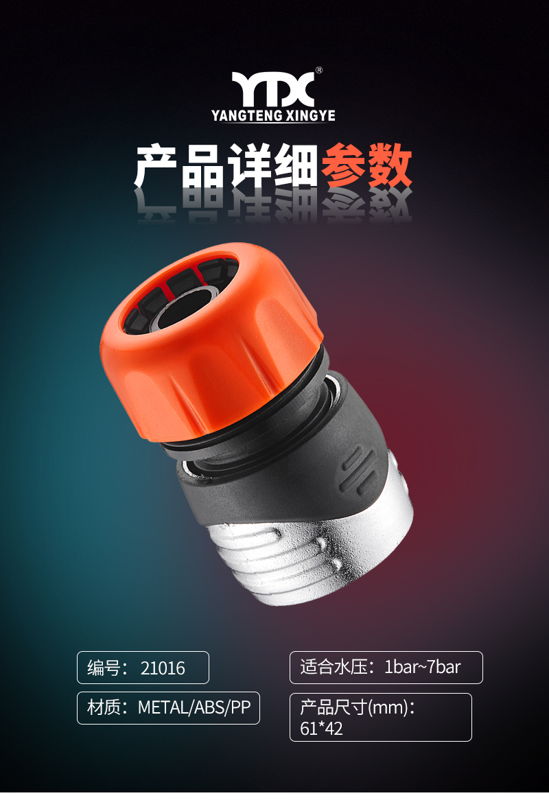 中文_05