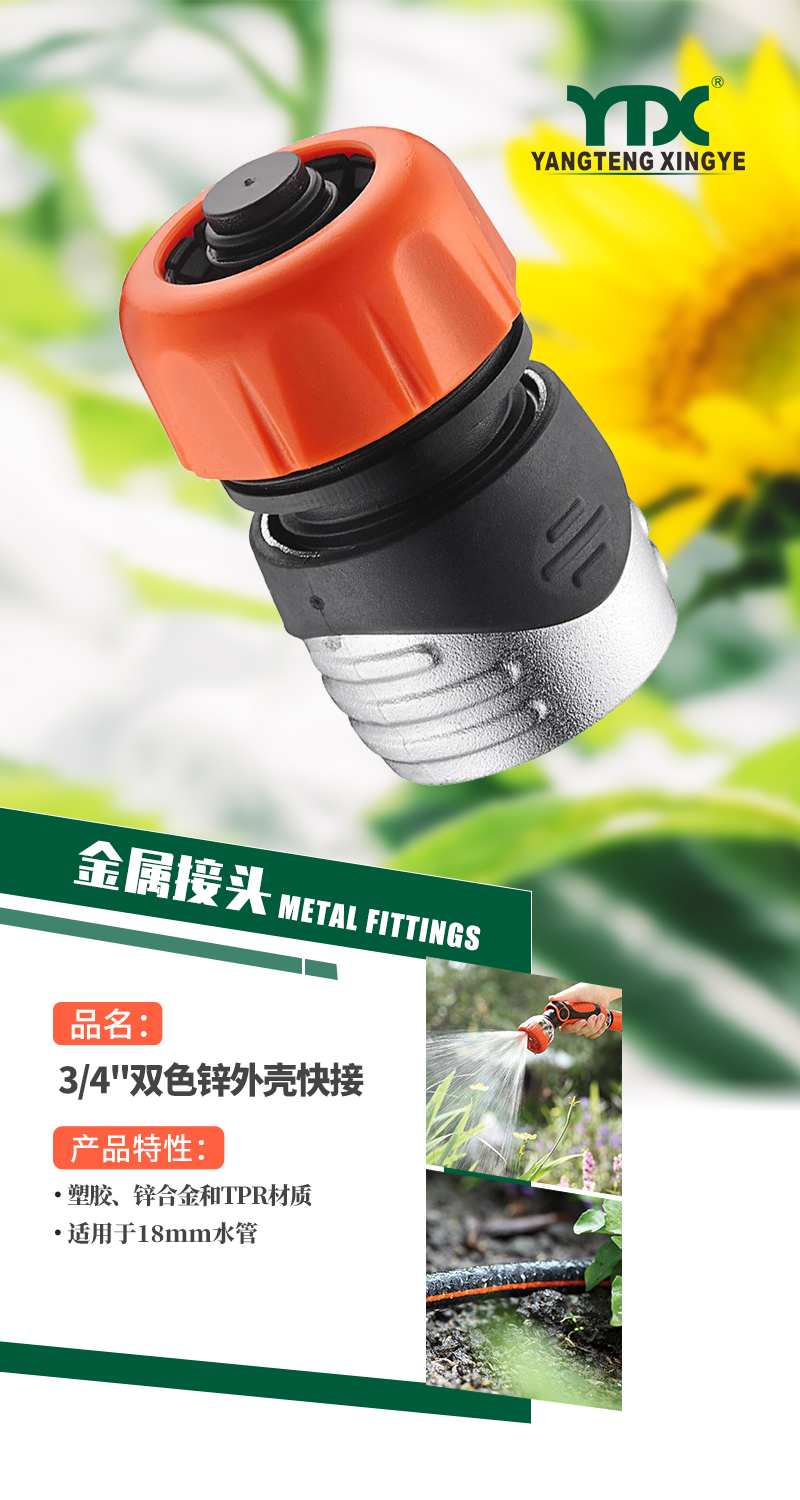 中文_01