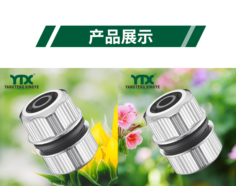 中文_06
