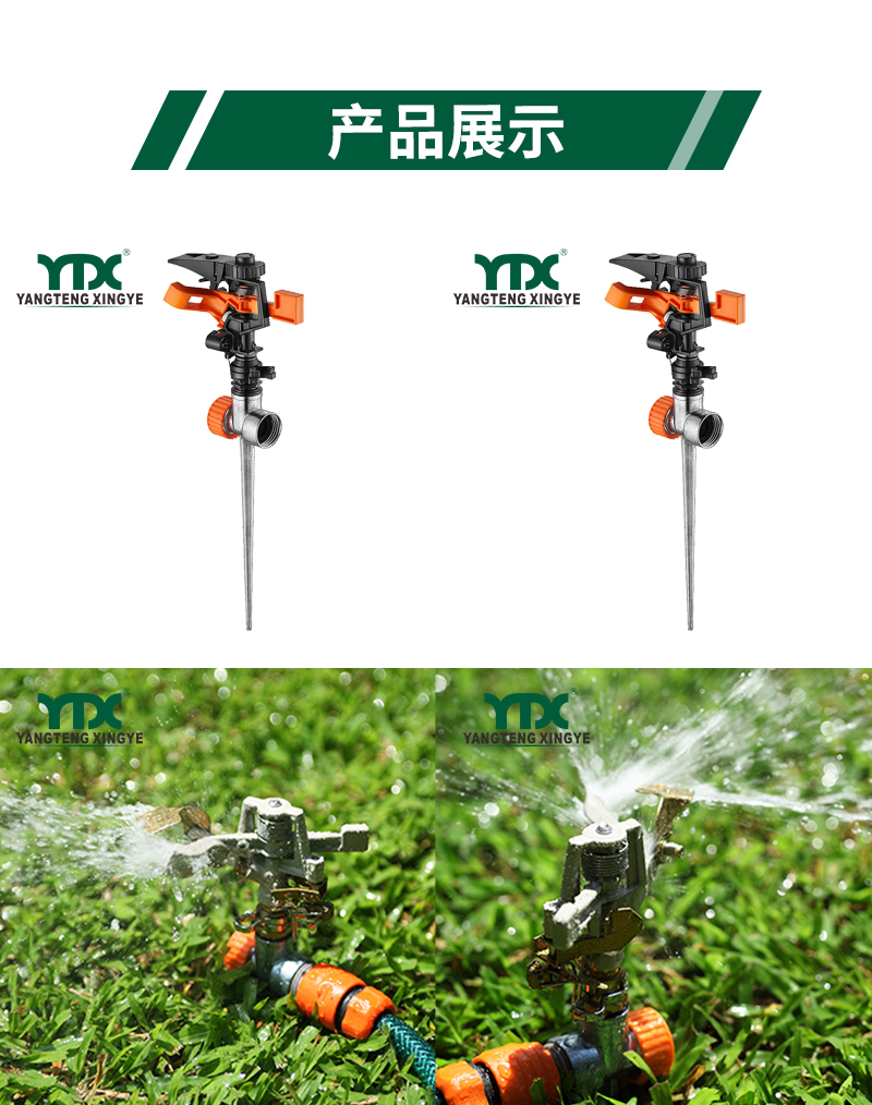 中文_05