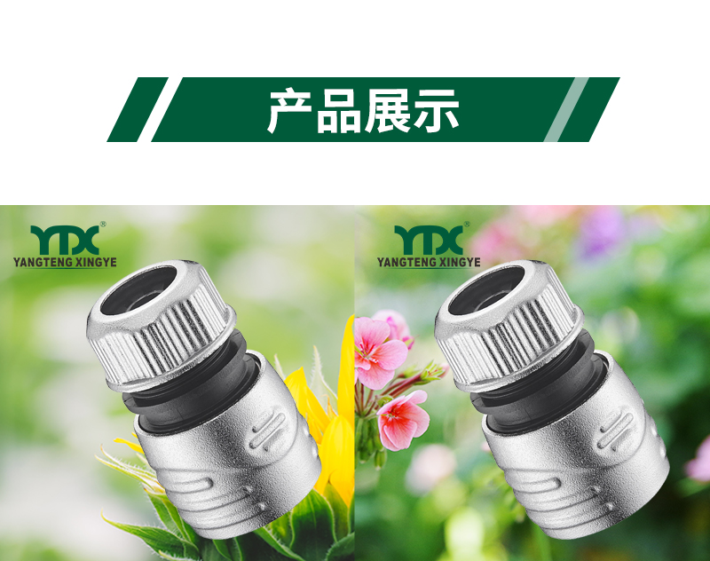 中文_06