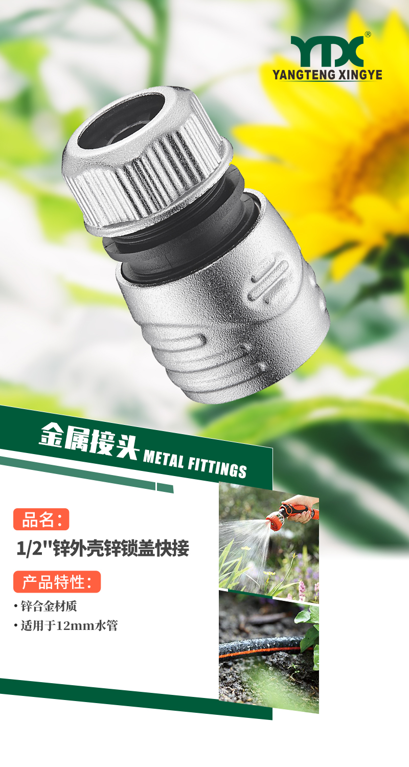 中文_01