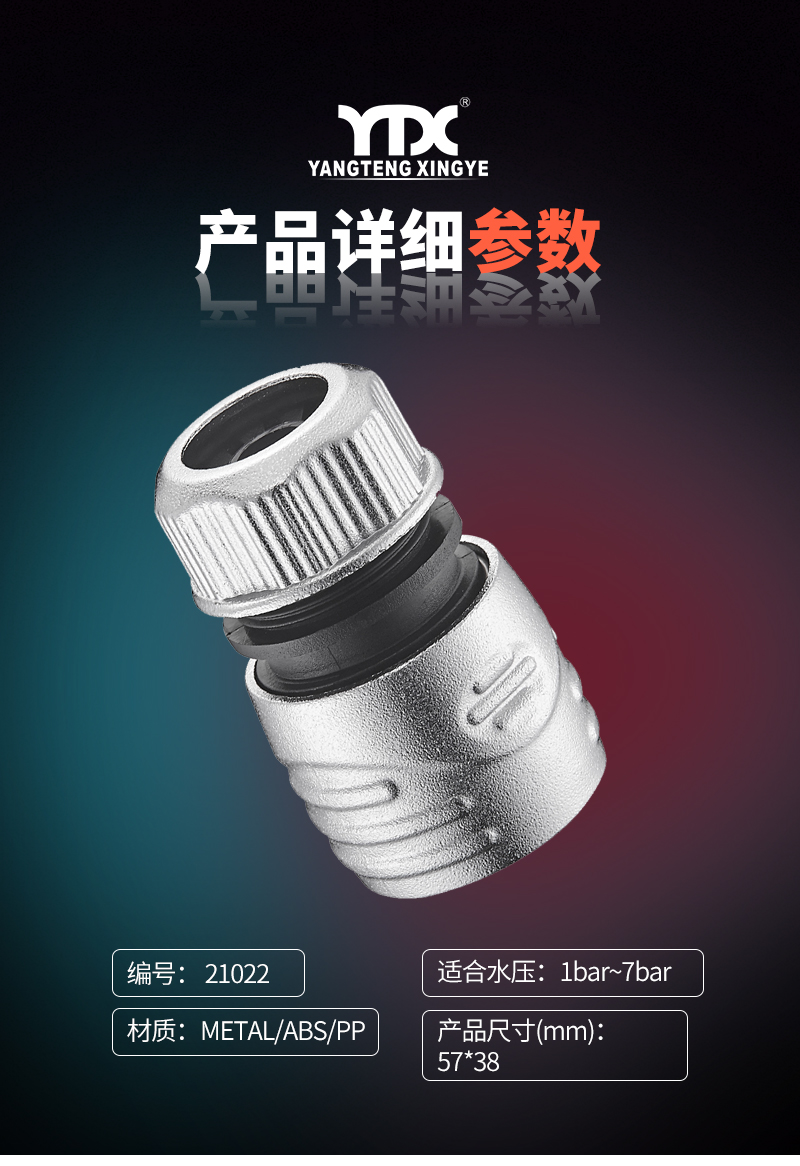 中文_05