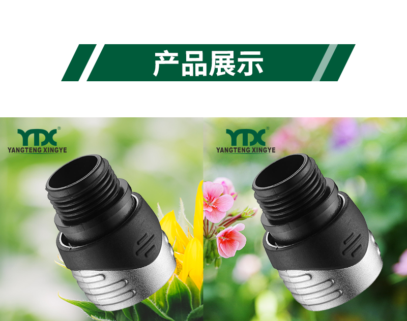 中文_06