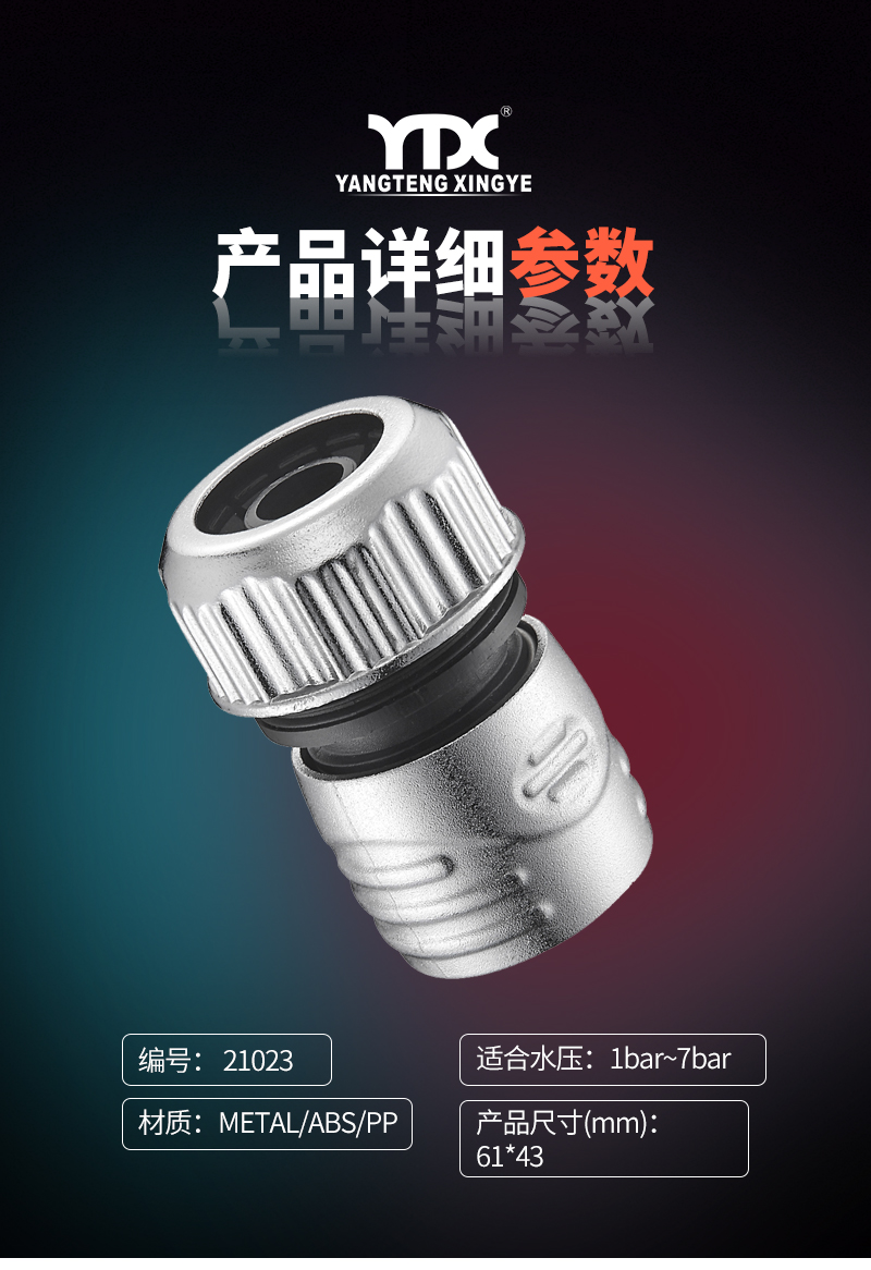 中文_05