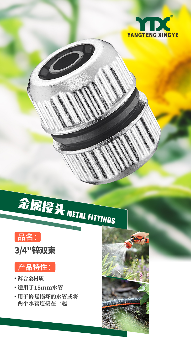 中文_01