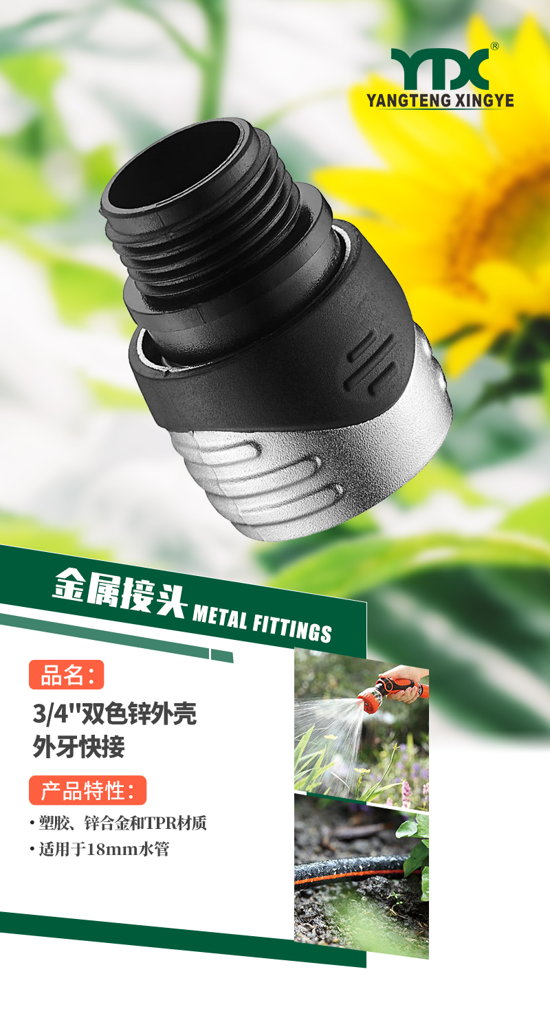 中文_01