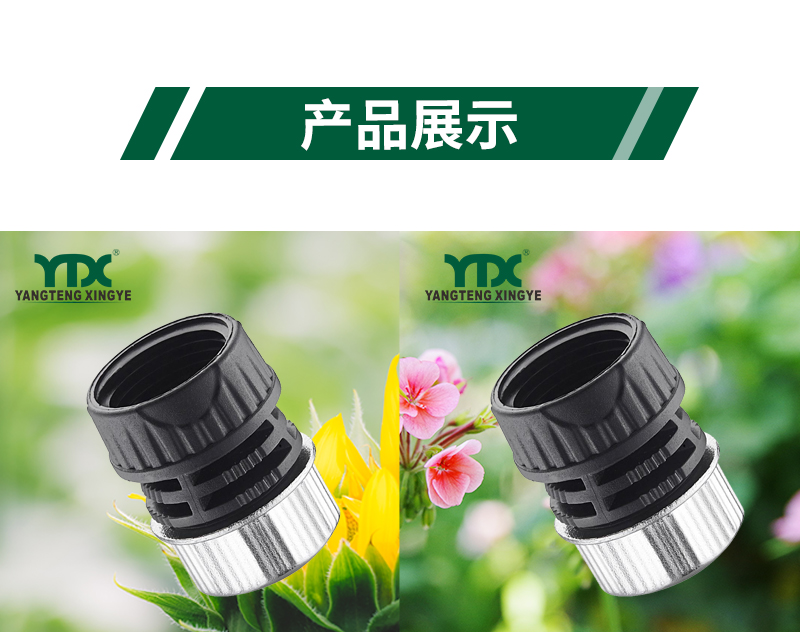 中文_06