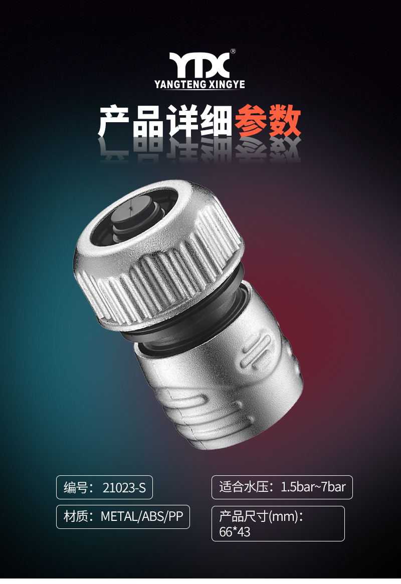 中文_05