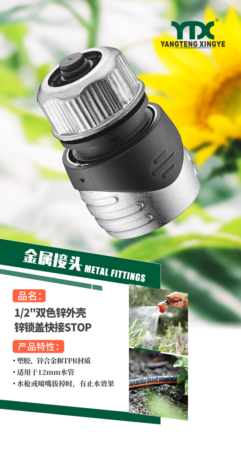 中文_01