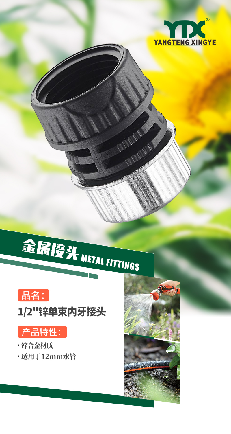 中文_01