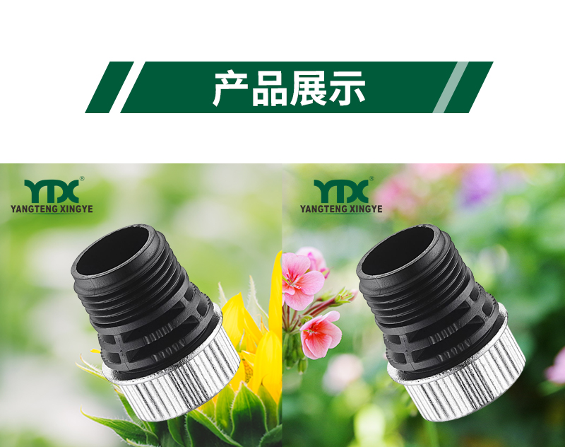 中文_06