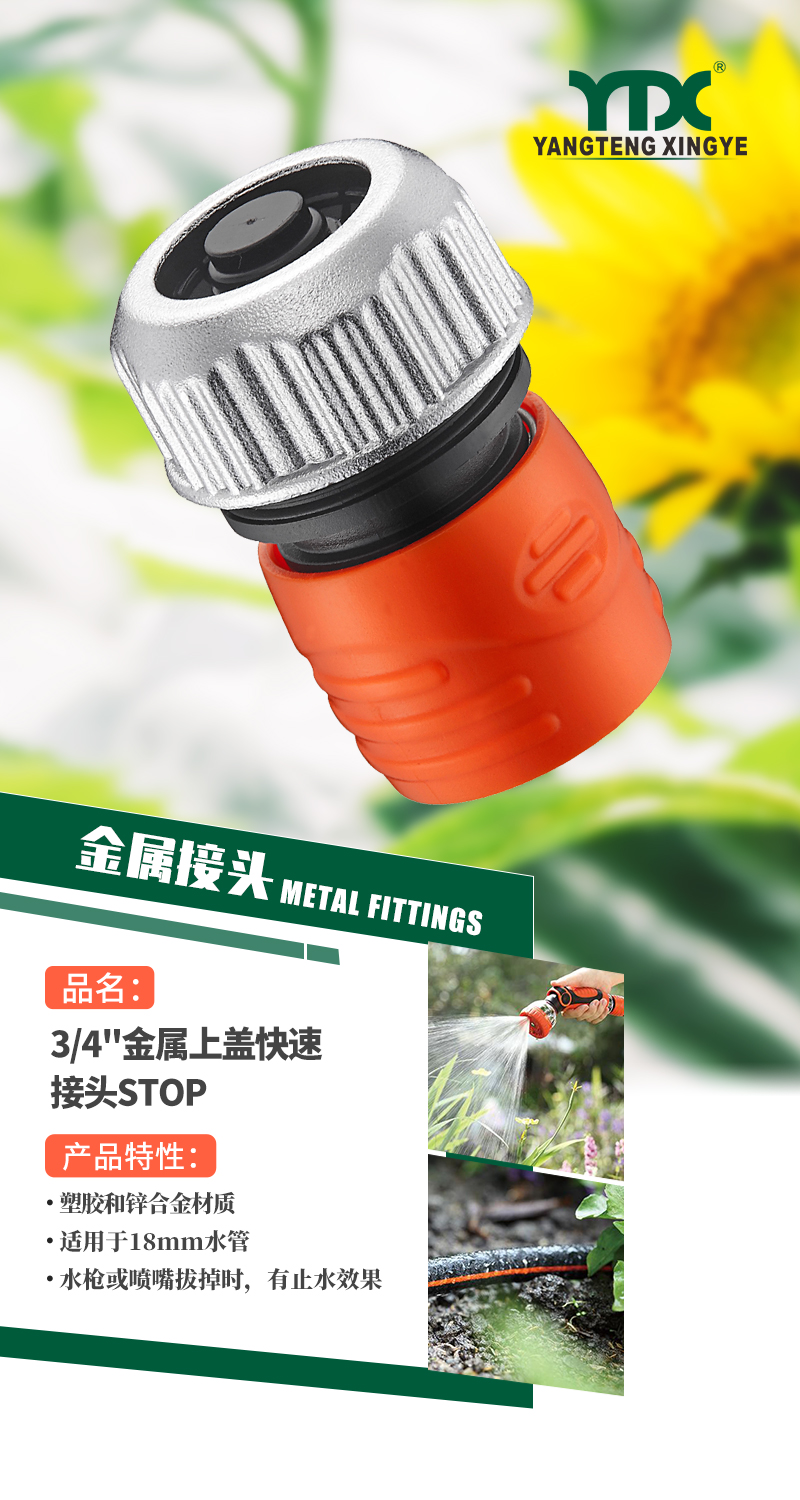 中文_01