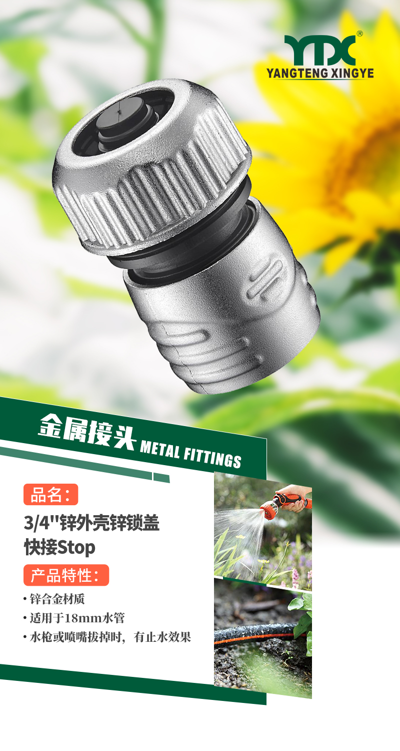 中文_01