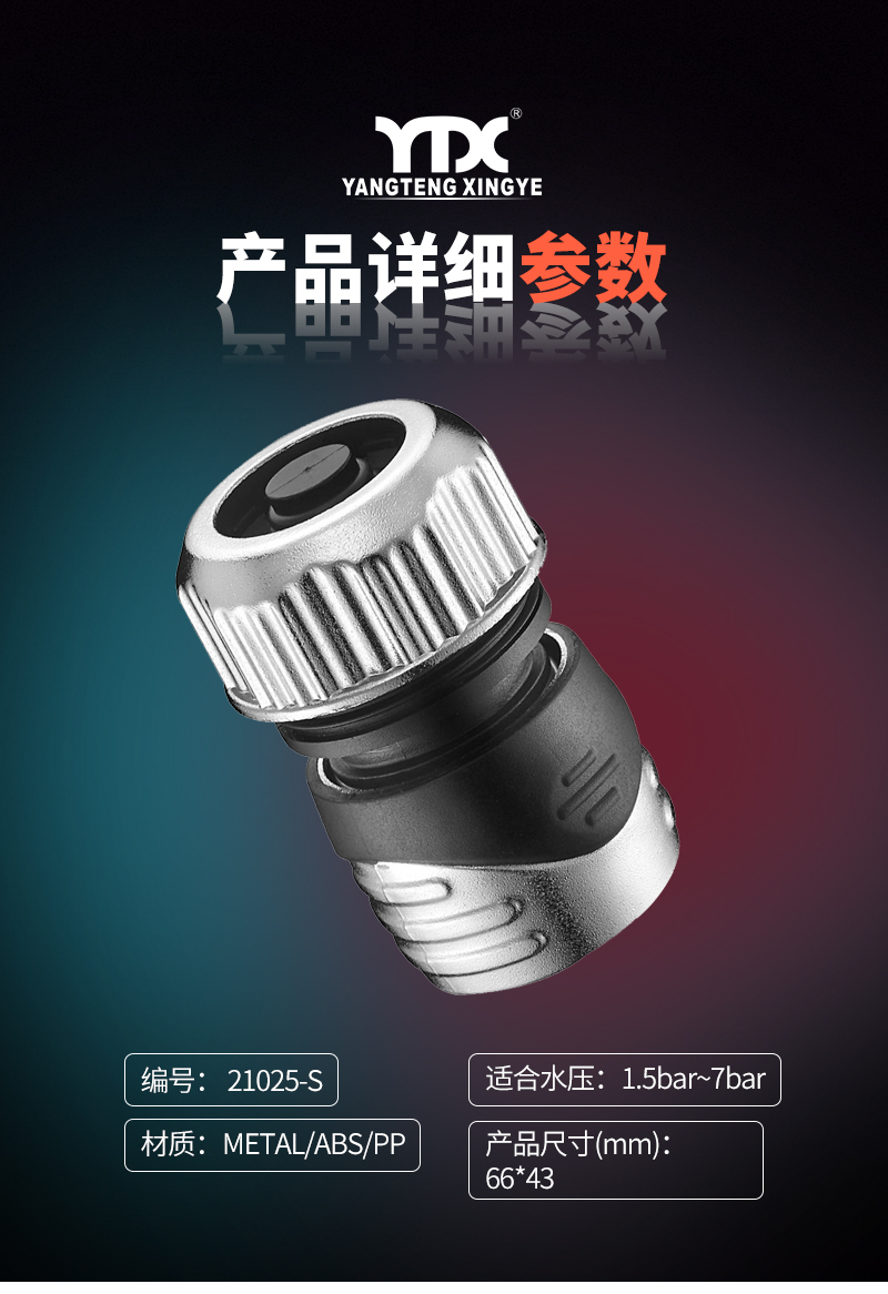 中文_05