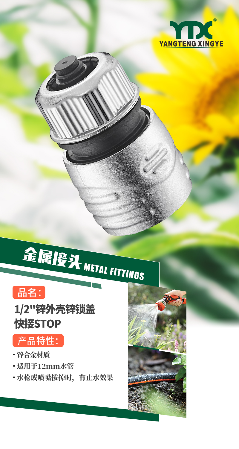 中文_01
