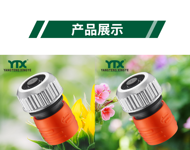 中文_06