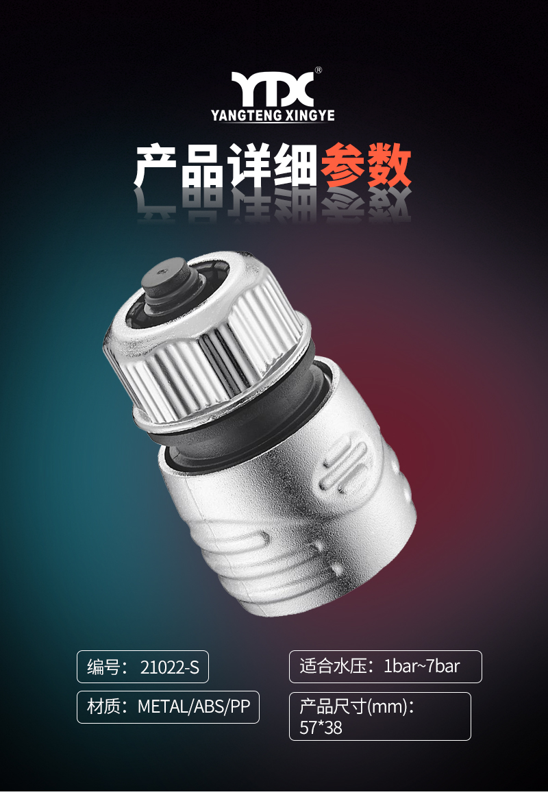中文_05