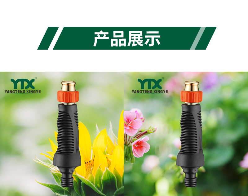 中文_06
