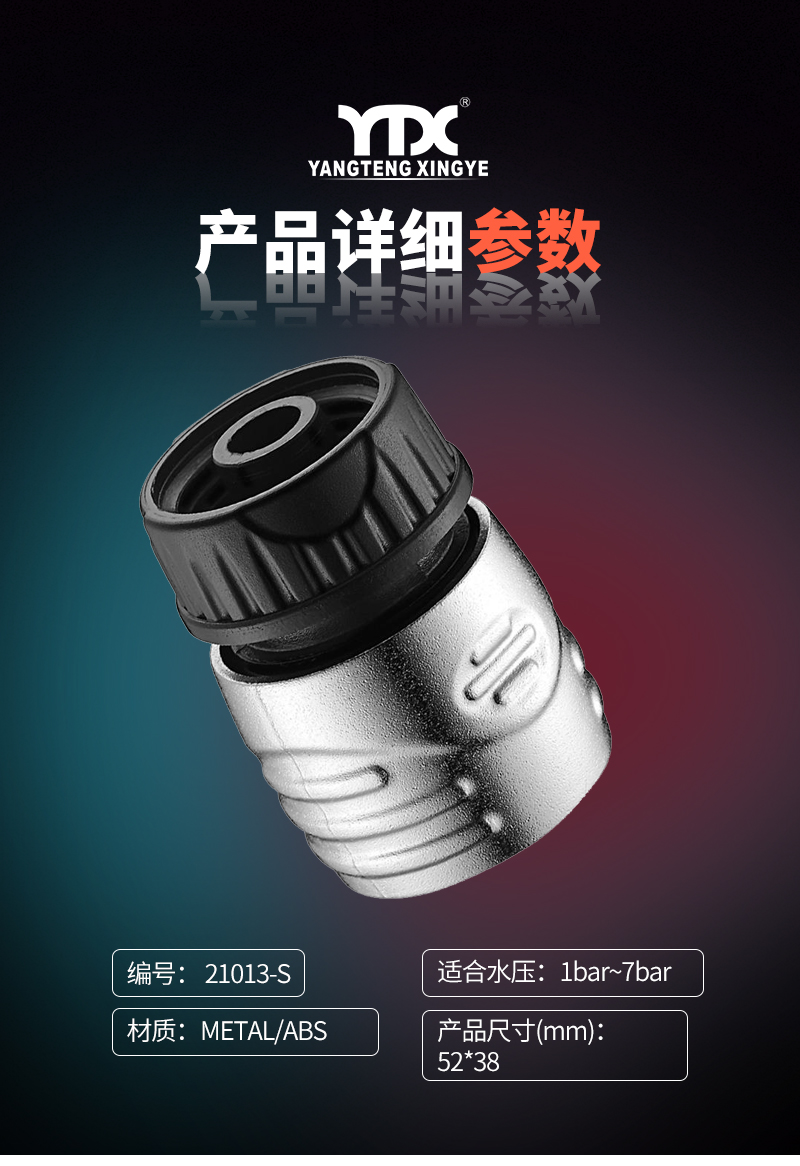 中文_05