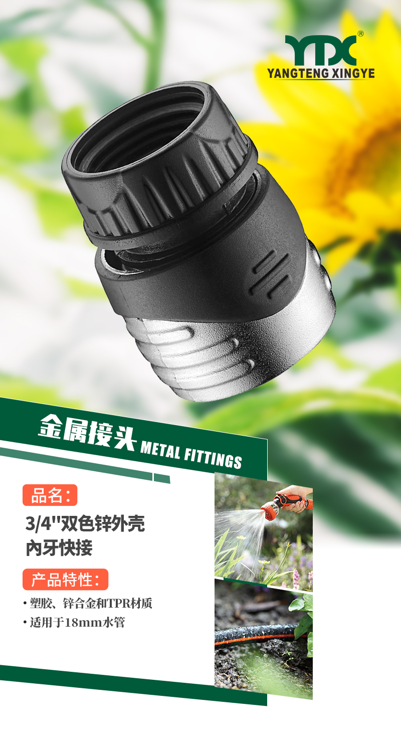 中文_01