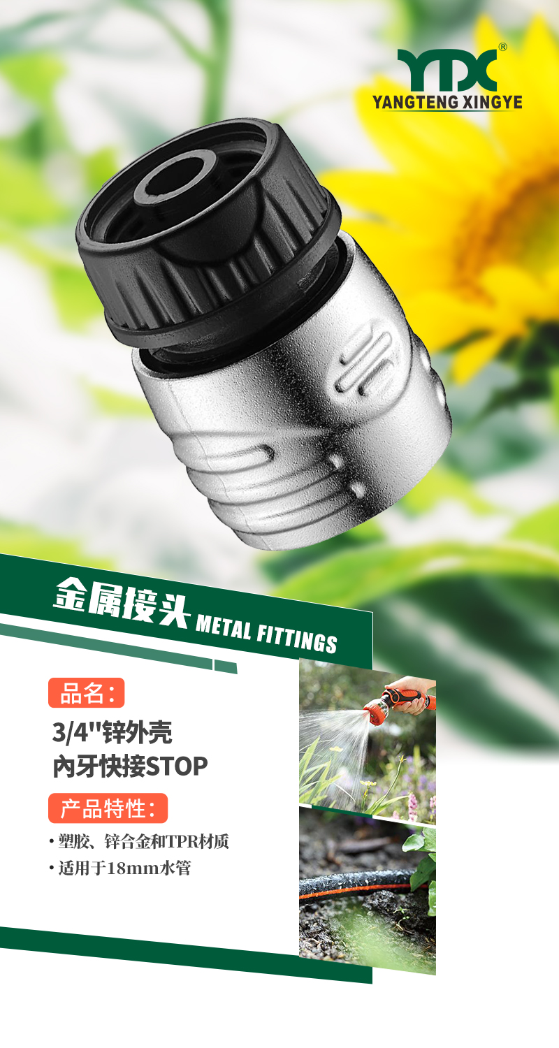中文_01