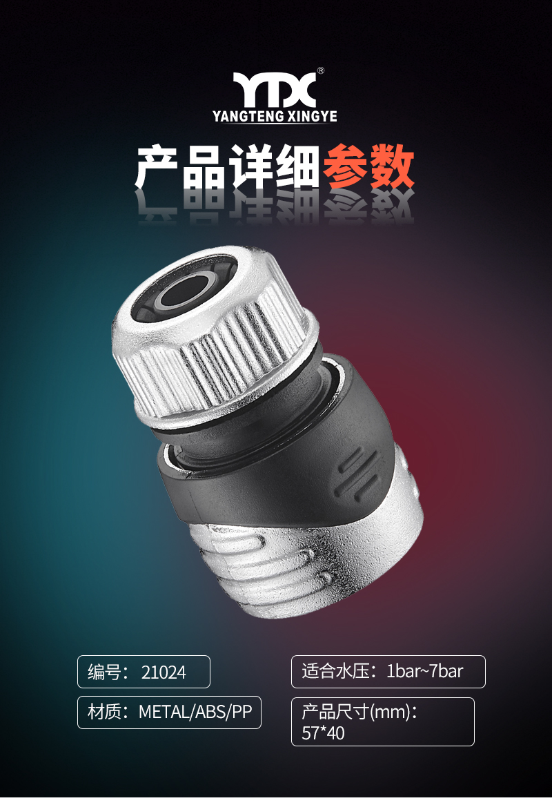 中文_05